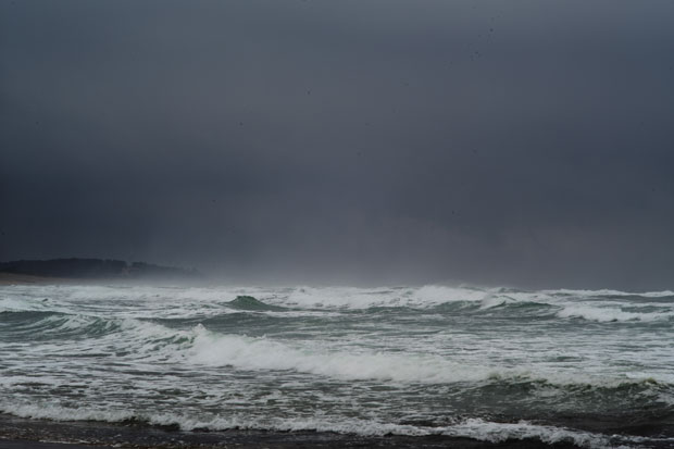 L1007843.jpg