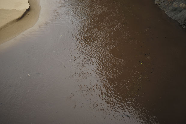 L1007852.jpg