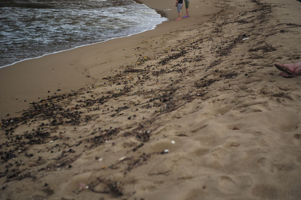 L1007921.jpg