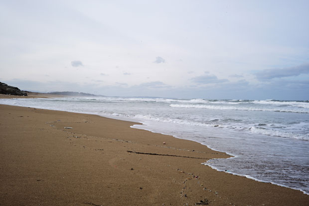 L1008041.jpg