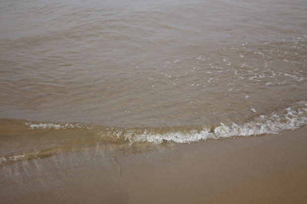 L1008242.jpg