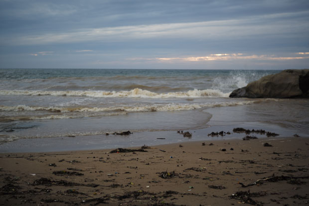 L1008284.jpg