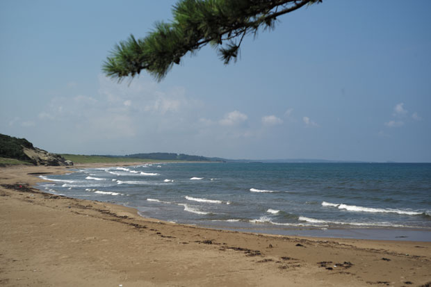 L1008385.jpg