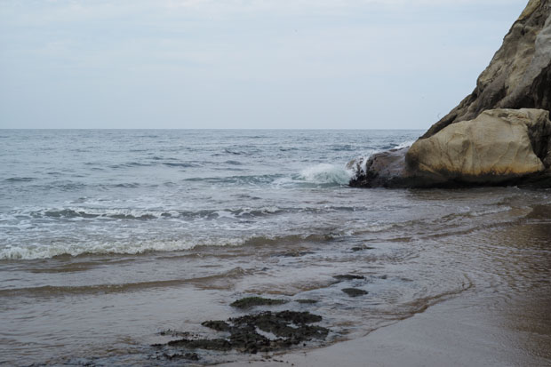 L1008462.jpg