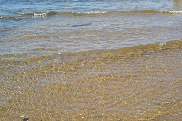 L1008690.jpg