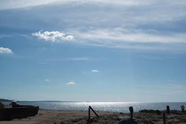 L1008720.jpg