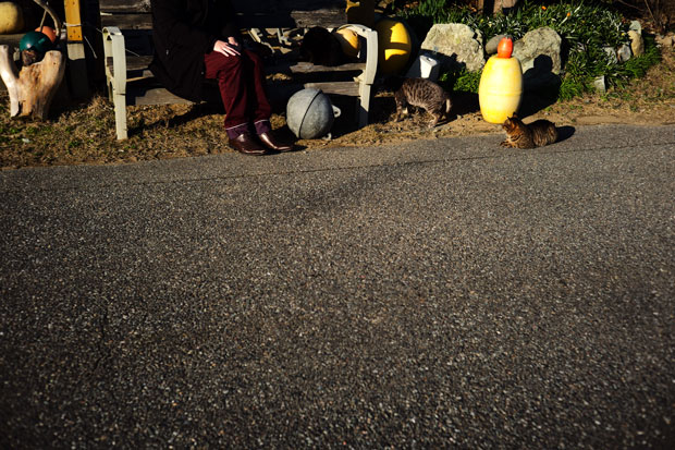L1009103.jpg