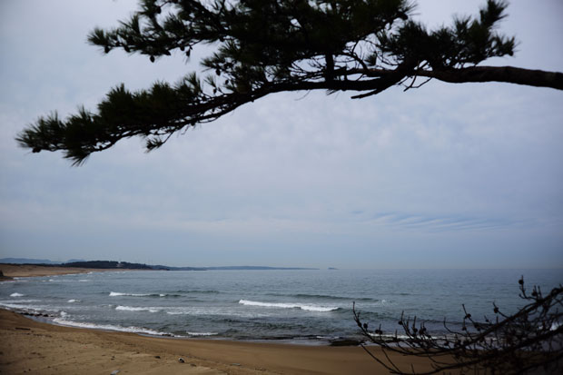 L1009201.jpg