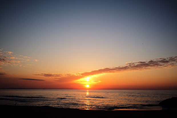 L1009236.jpg