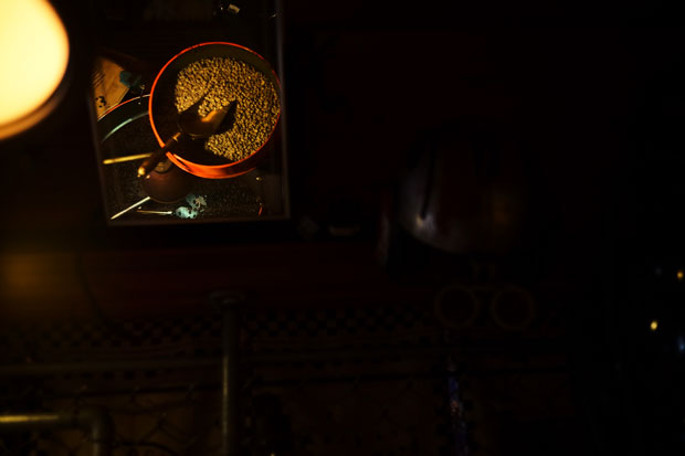 L1009346.jpg