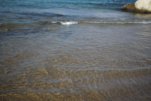 L1009349.jpg