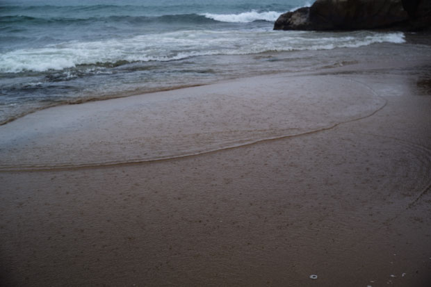 L1009420.jpg