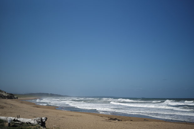 L1009547.jpg