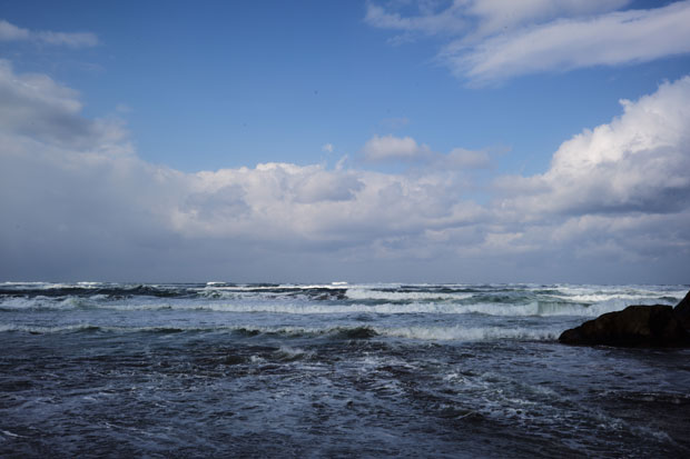 L1009806.jpg