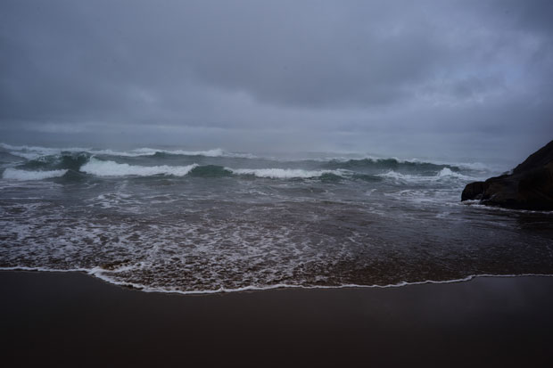 L1010065.jpg