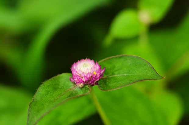 L1012311.jpg