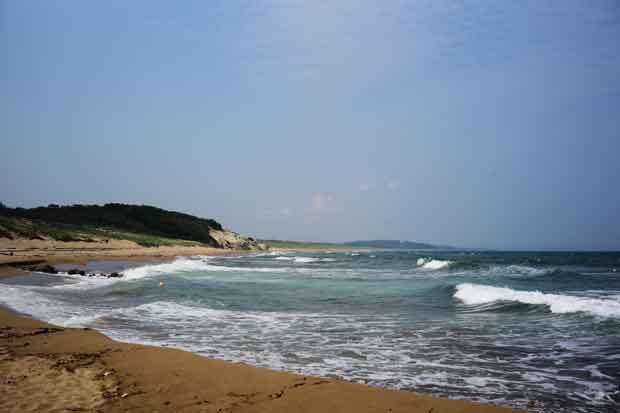 L1012380.jpg