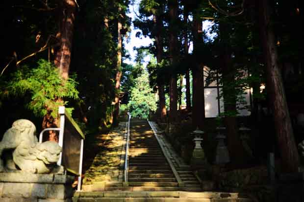 L1012427.jpg