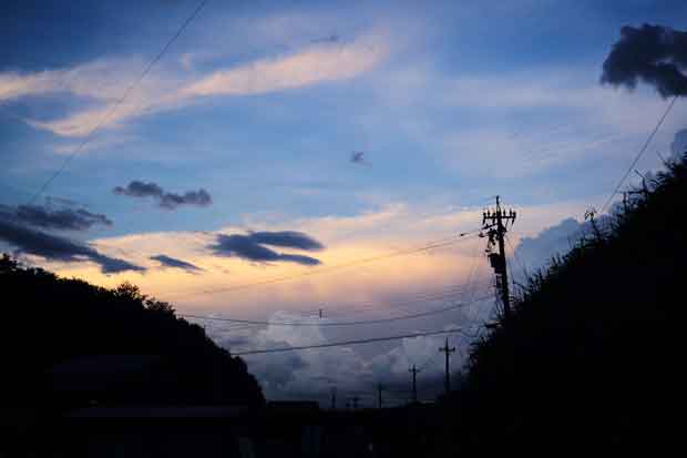 L1012736.jpg
