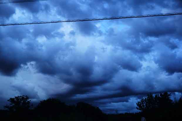 L1012738.jpg