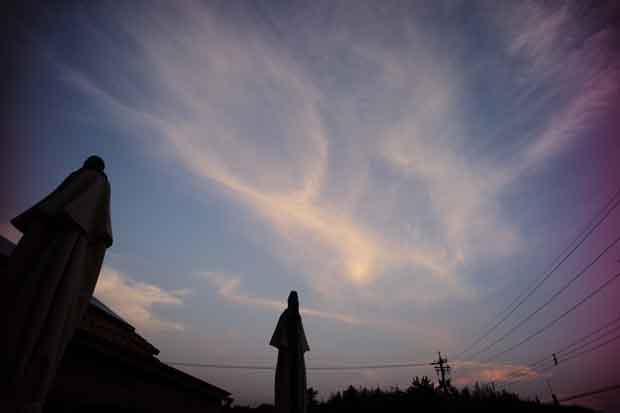 L1013049.jpg