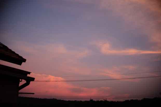 L1013050.jpg