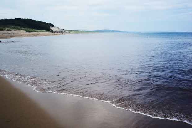 L1013250.jpg