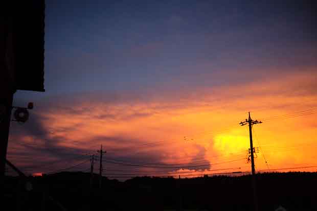 L1013417.jpg