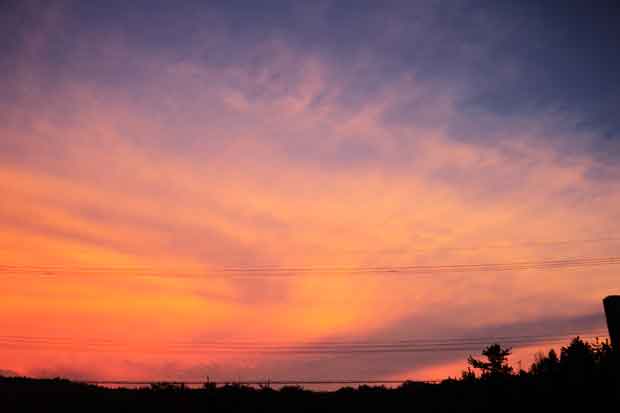 L1013422.jpg