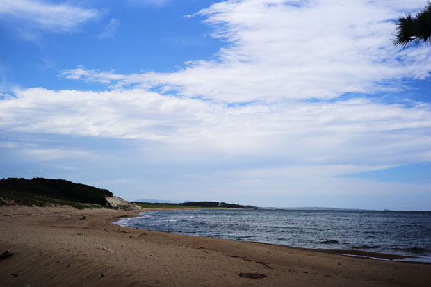 L1013570.jpg