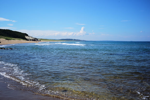 L1013764.jpg
