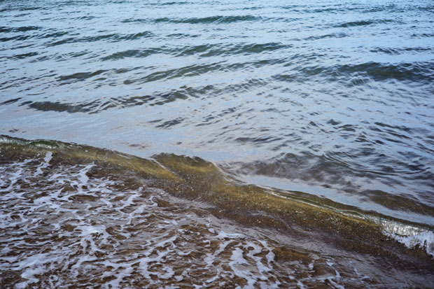 L1013805.jpg