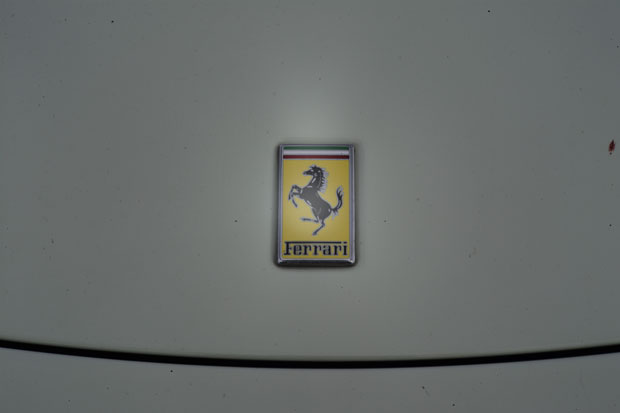 L1013858.jpg