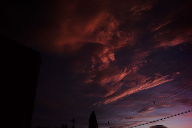 L1013887.jpg
