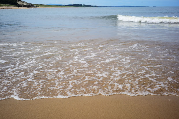 L1014117.jpg