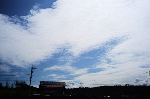 L1014118.jpg