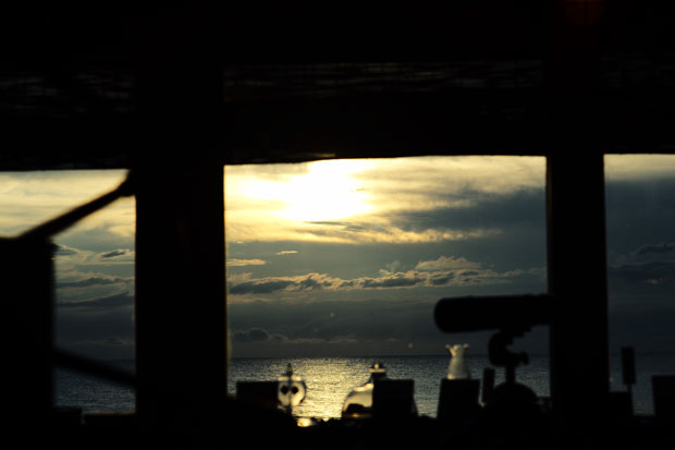 L1014145.jpg