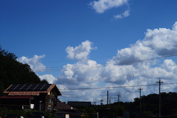 L1014432.jpg