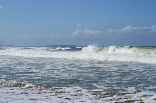 L1014835.jpg