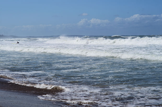 L1014836.jpg