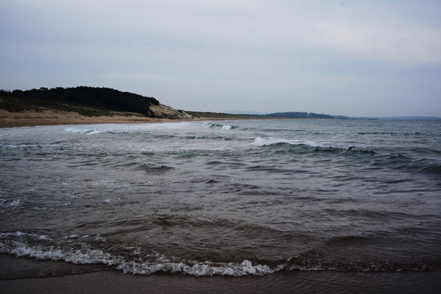 L1015071.jpg