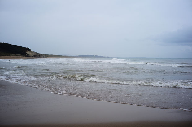 L1015336.jpg