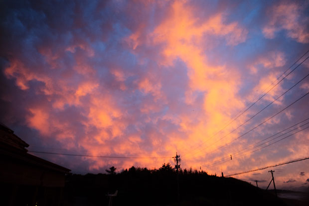 L1015362.jpg