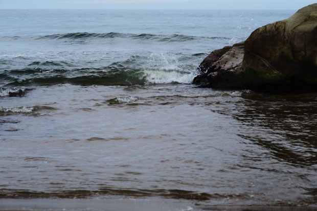 L1015546.jpg