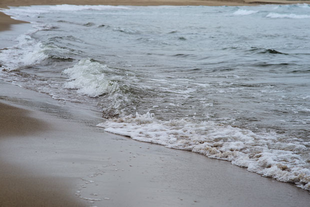 L1015555.jpg