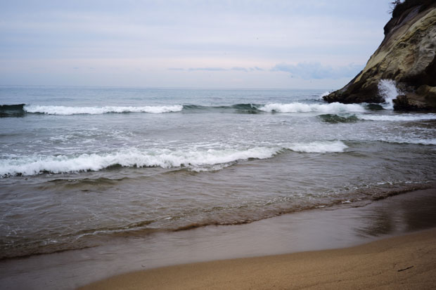 L1016100.jpg