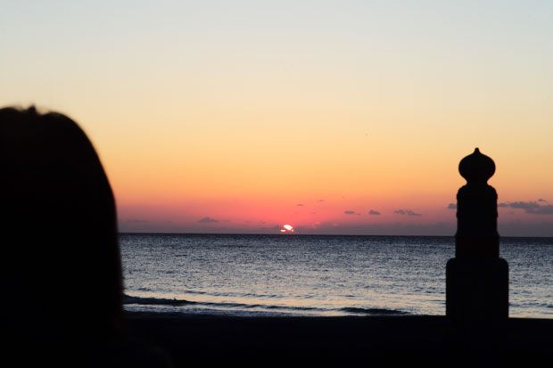 L1016219.jpg