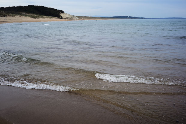 L1016286.jpg