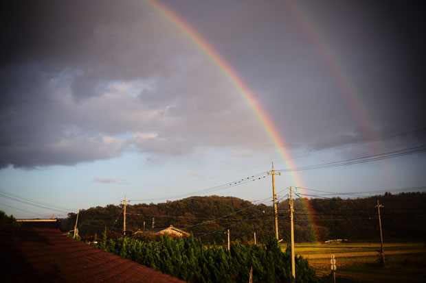 L1016609.jpg