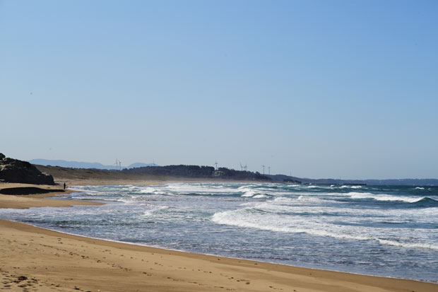 L1016637.jpg